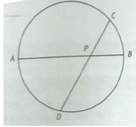 circulo 33.jpg