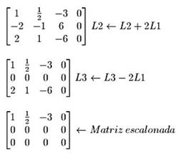 1375969_10201520229942113_322439127_n.jpg