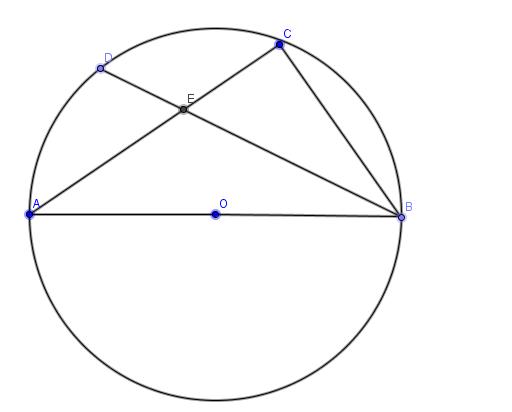circunferência.JPG
